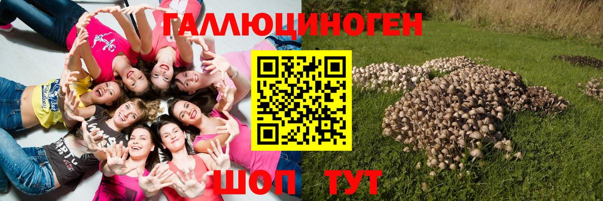 Галлюциногенные грибы мицелий  Галлюциногенные грибы Magic Shrooms  Нягань  Вход с VPN 